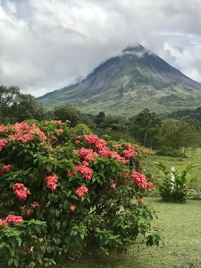 Arenal Roca Suites La Fortuna Екстер'єр фото