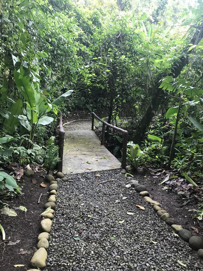 Arenal Roca Suites La Fortuna Екстер'єр фото
